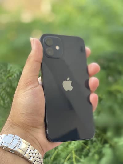 I phone 12 (12)