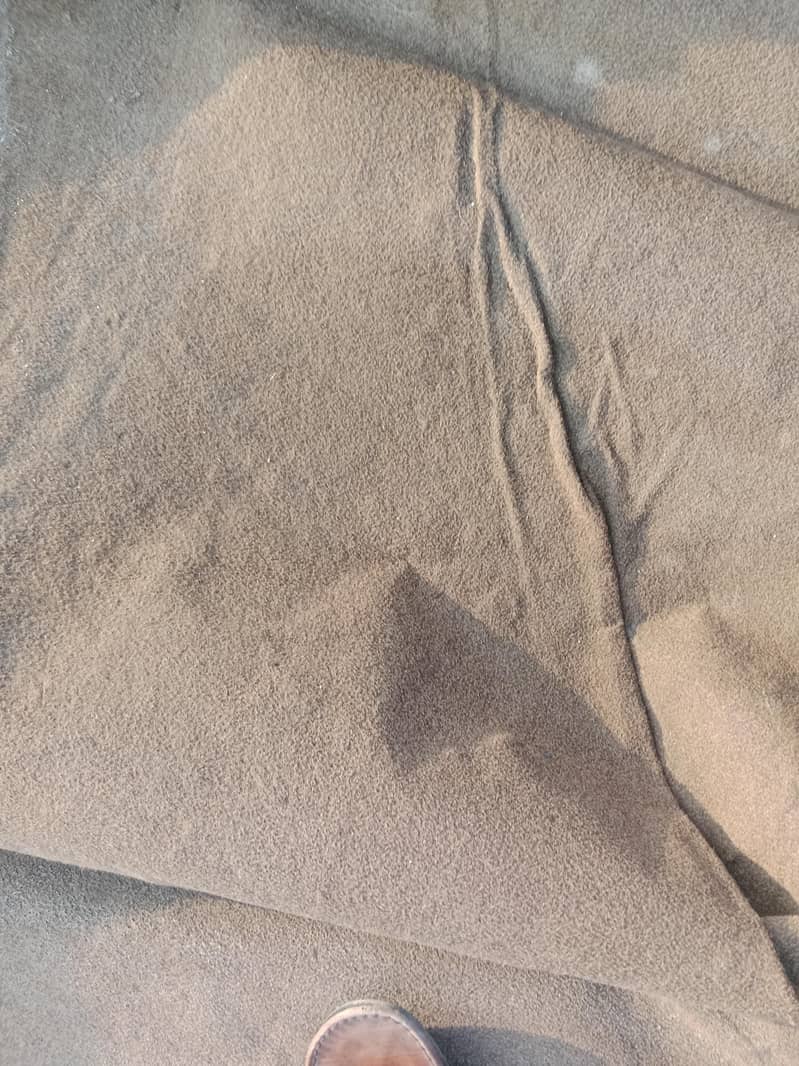 carpet+foom 3