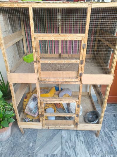 Birds Cage