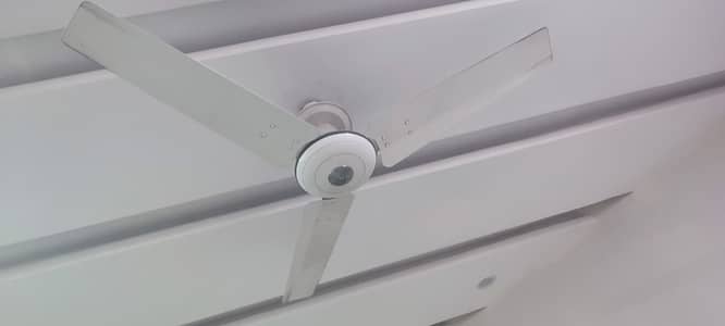 2 Fans for Sale - Royal Fan for 5000 each