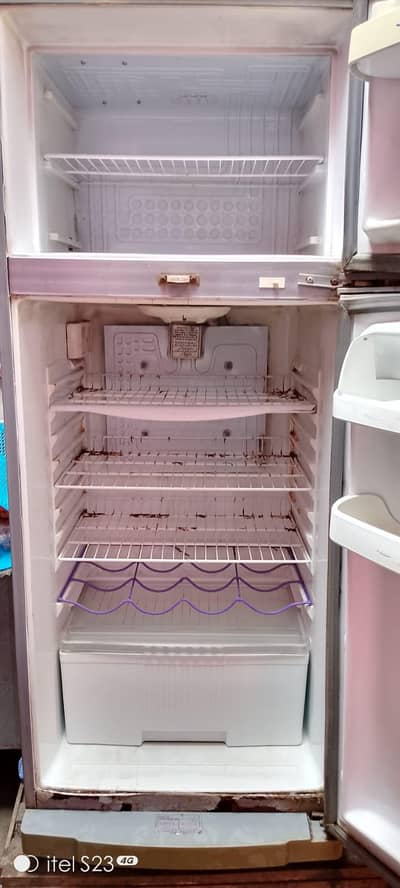 medium size fridge