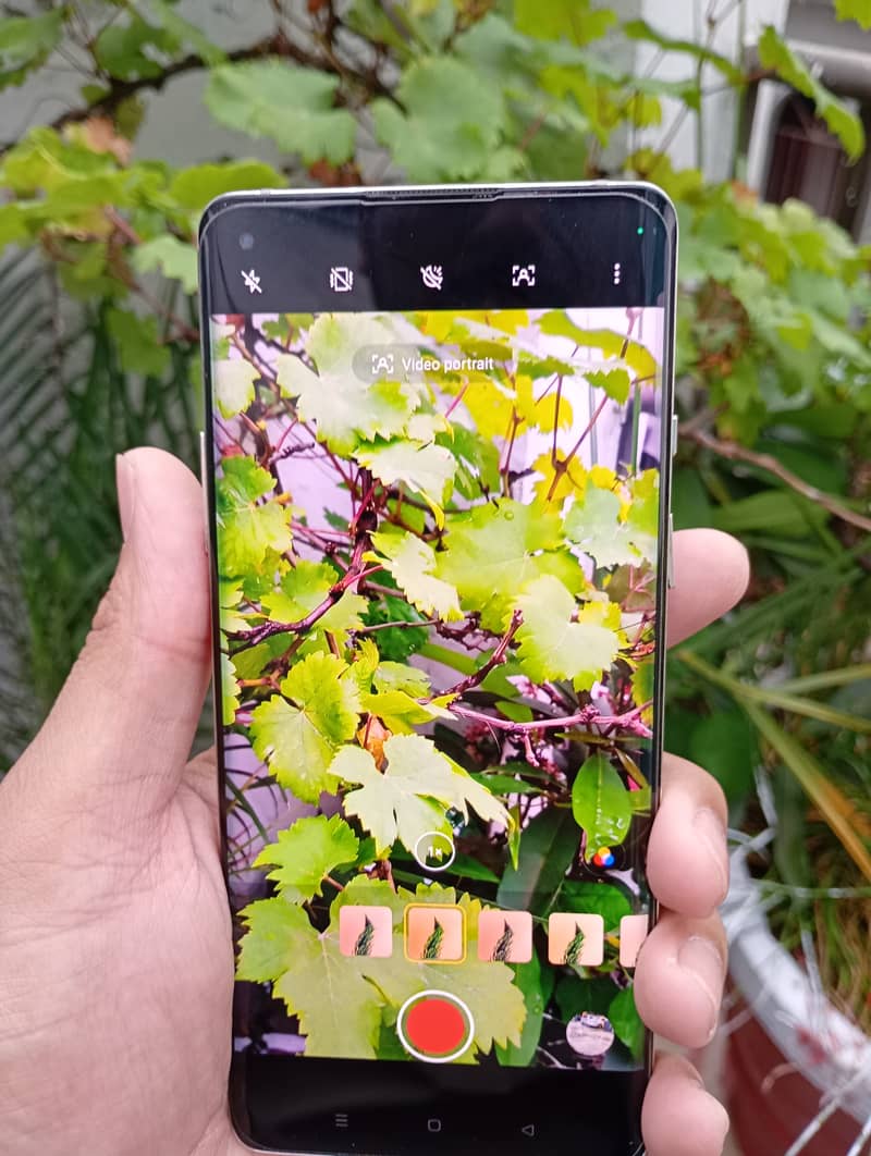 One Plus 8 1