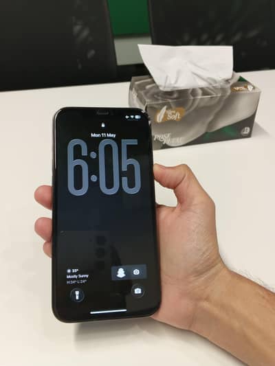 12 Pro Max - Factory Unlock