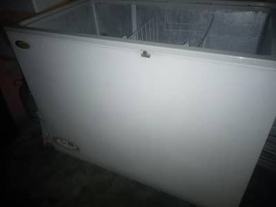 Deef freezer single door
