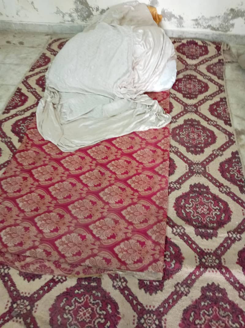 carpet 0