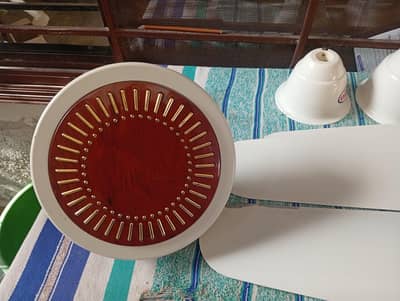 Ceiling Fans for Sale
