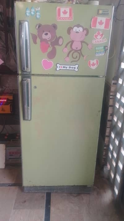imported fridge