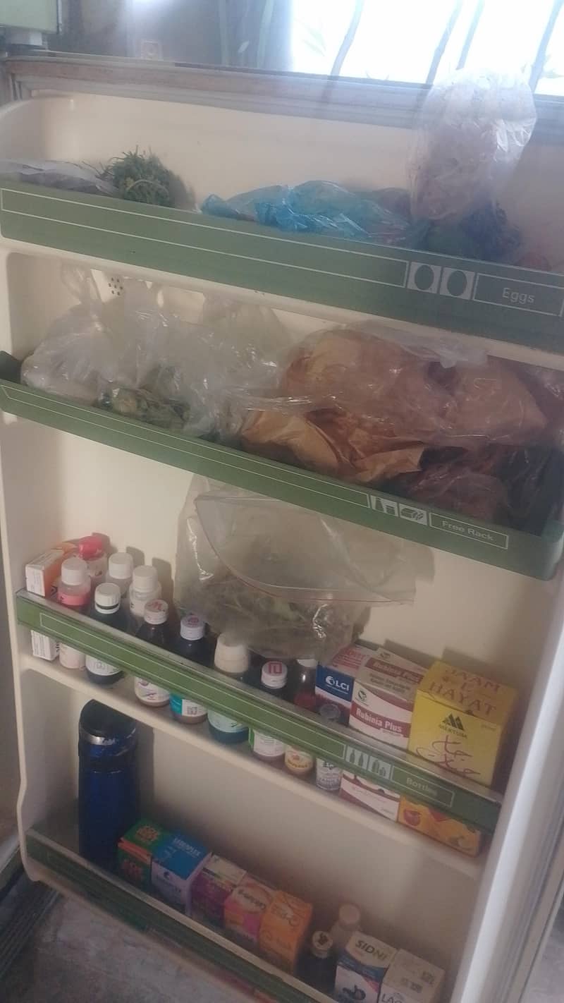 imported fridge 2