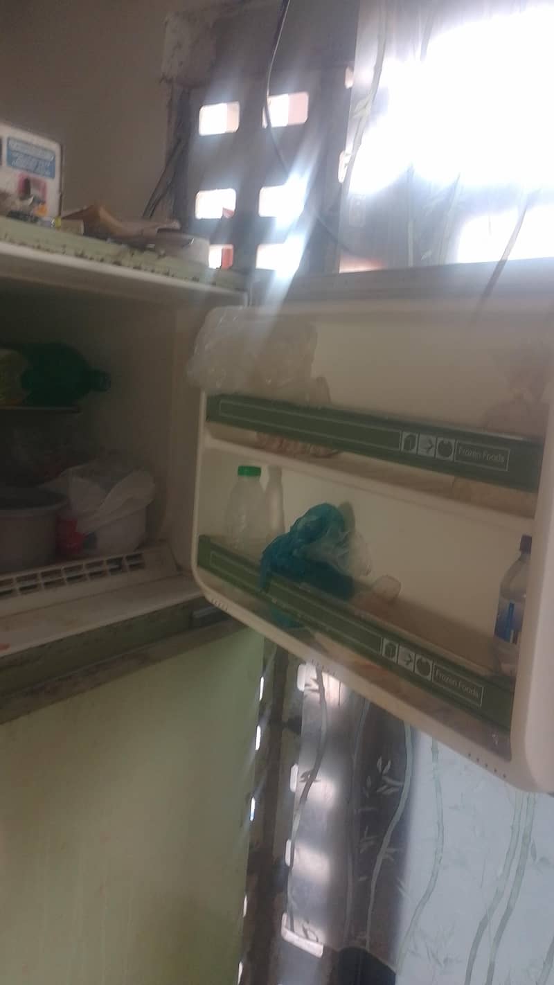 imported fridge 6