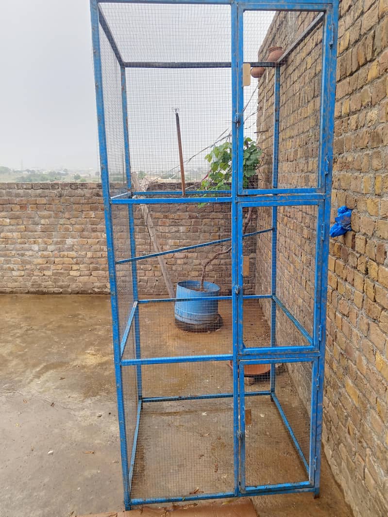 bards cage 6