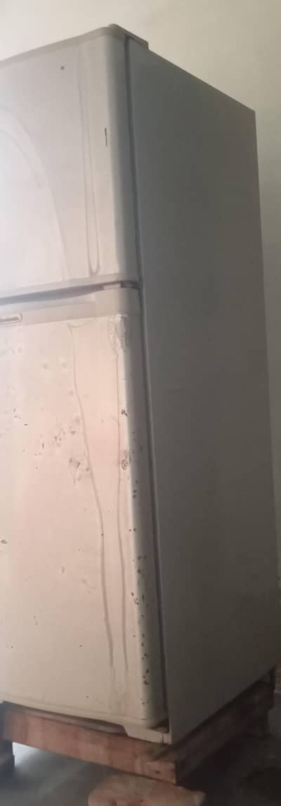 Medium size fridge