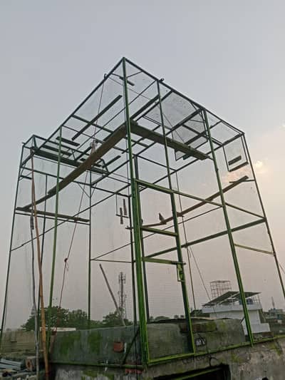 Kabotar ka jaal