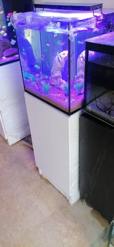 Aquarium with Wooden Cupboard
