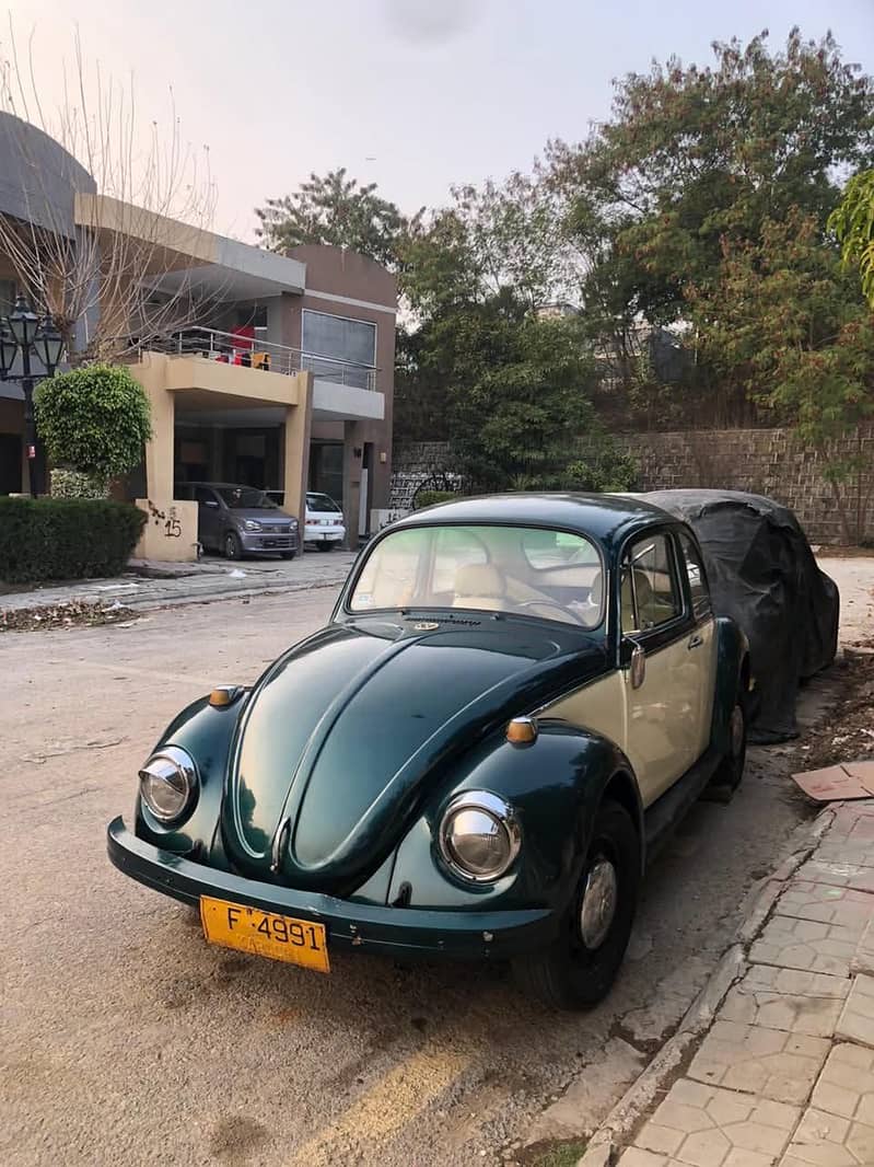 Beetle 6