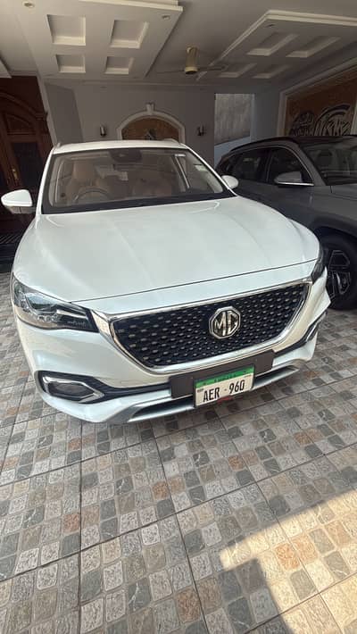 Mg hs 2021
