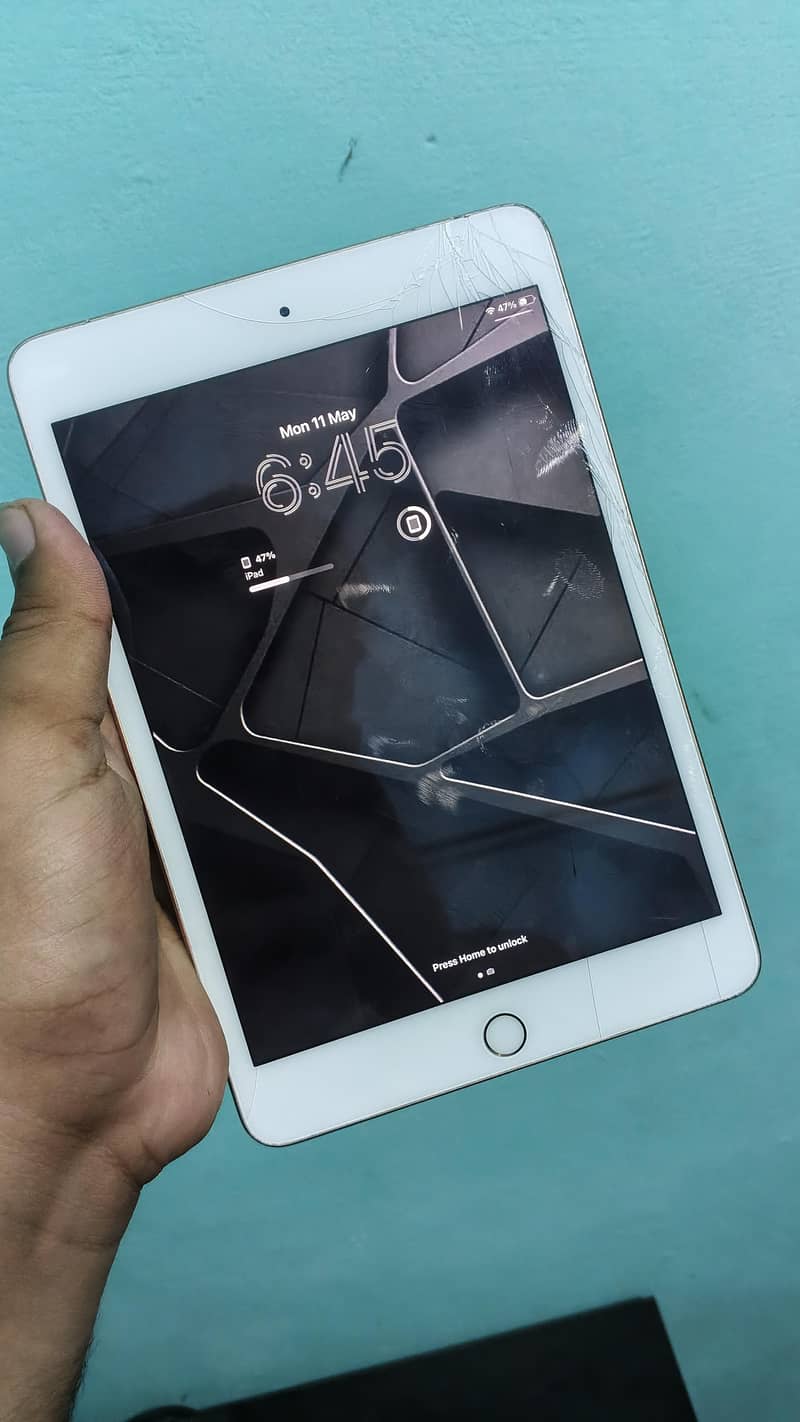 Ipad Mini 5 64 Gb Cellular 0