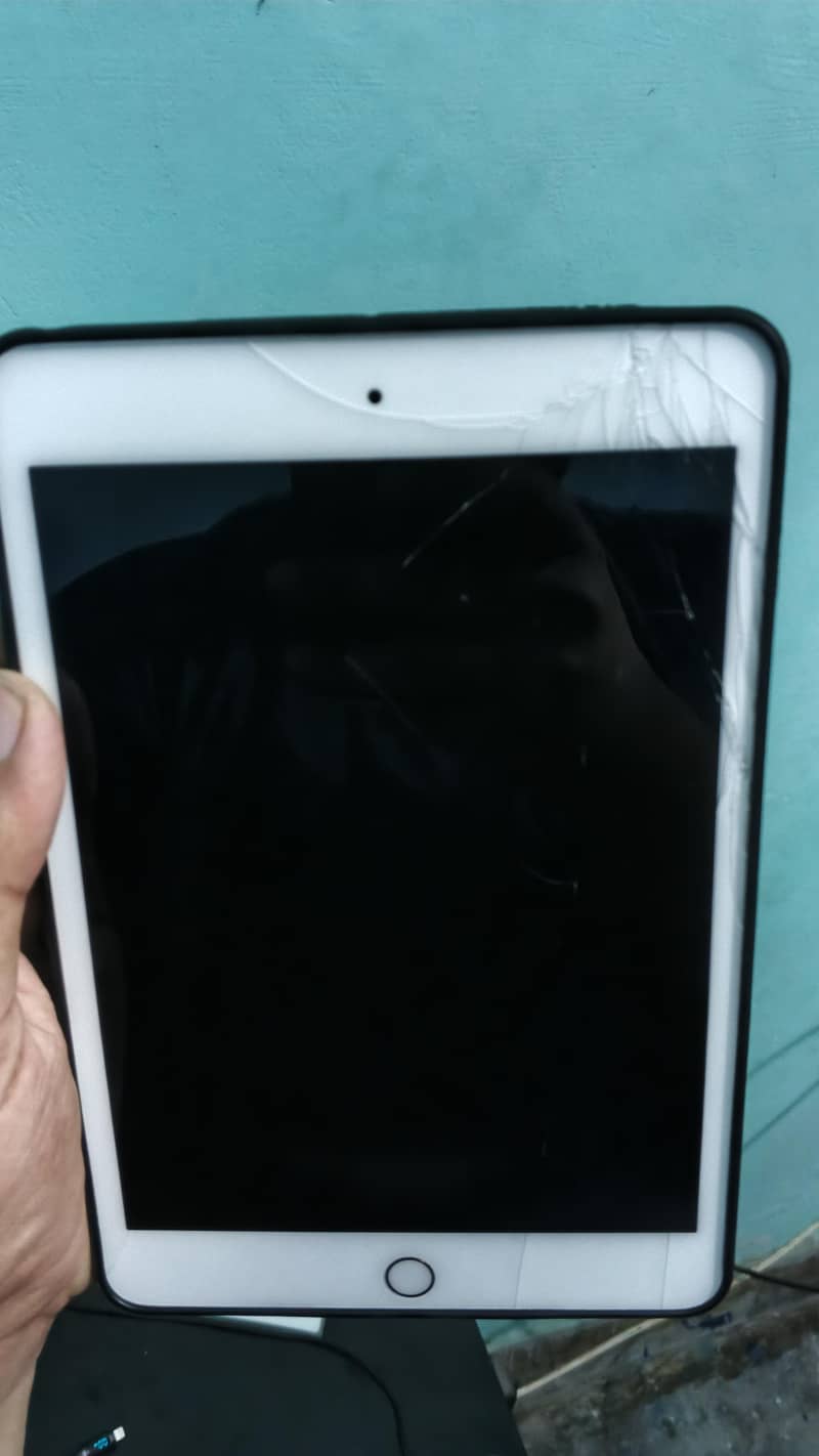 Ipad Mini 5 64 Gb Cellular 1