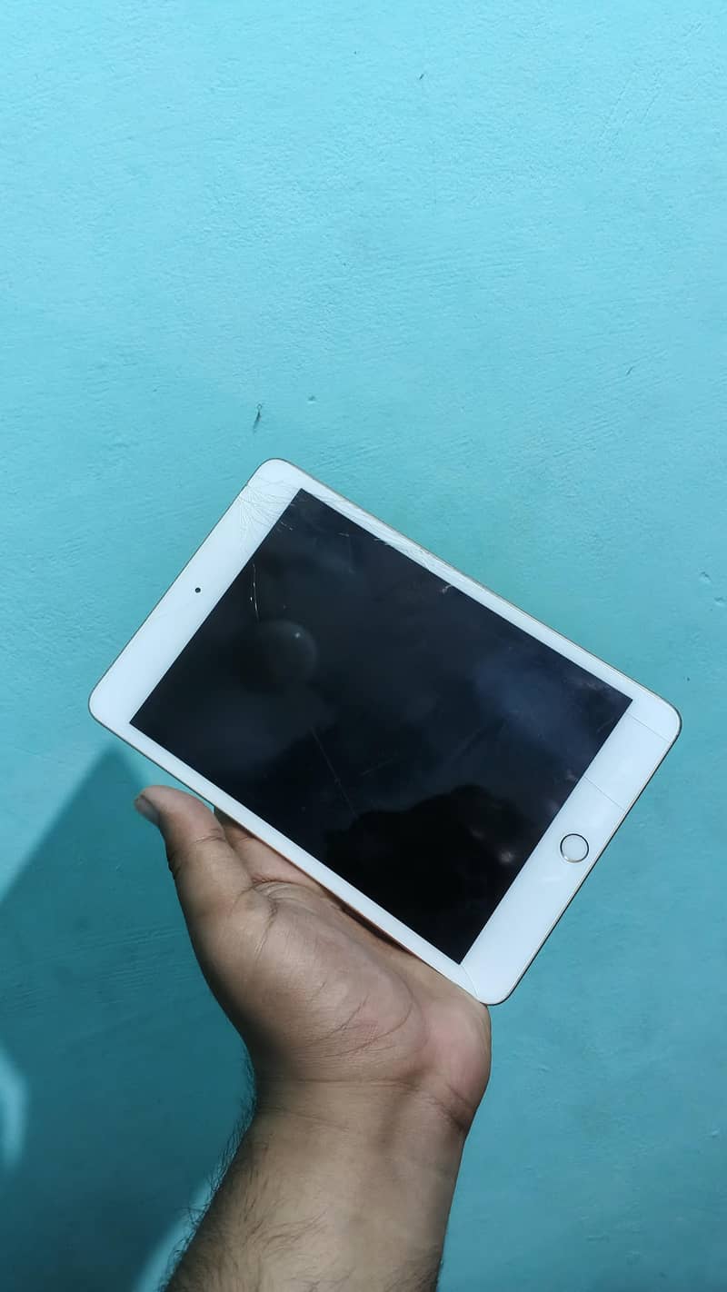 Ipad Mini 5 64 Gb Cellular 2