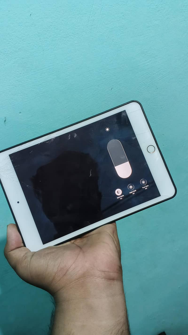 Ipad Mini 5 64 Gb Cellular 3