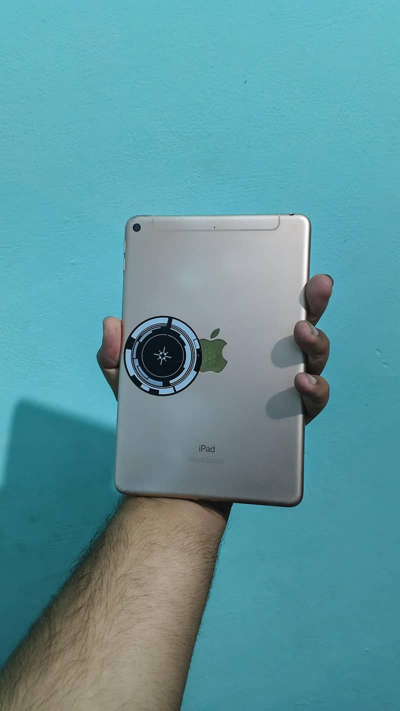 Ipad Mini 5 64 Gb Cellular 4