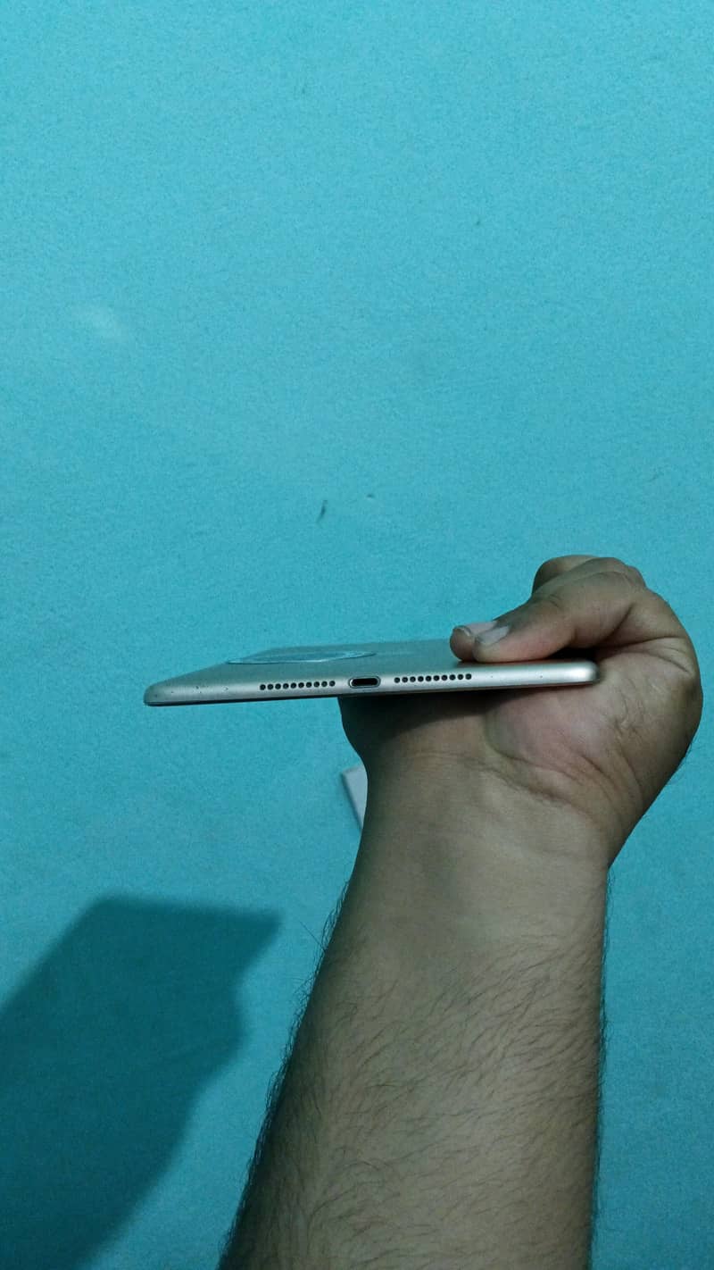 Ipad Mini 5 64 Gb Cellular 6