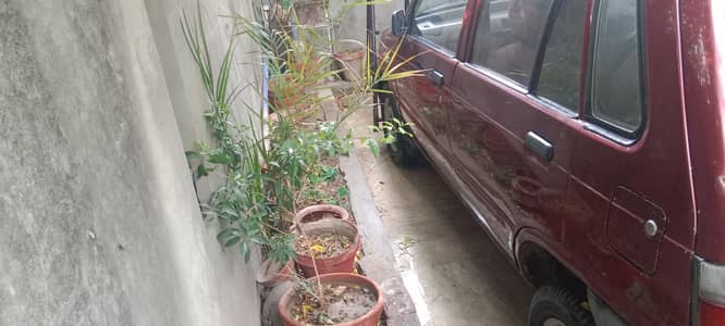 mehran 03224202254