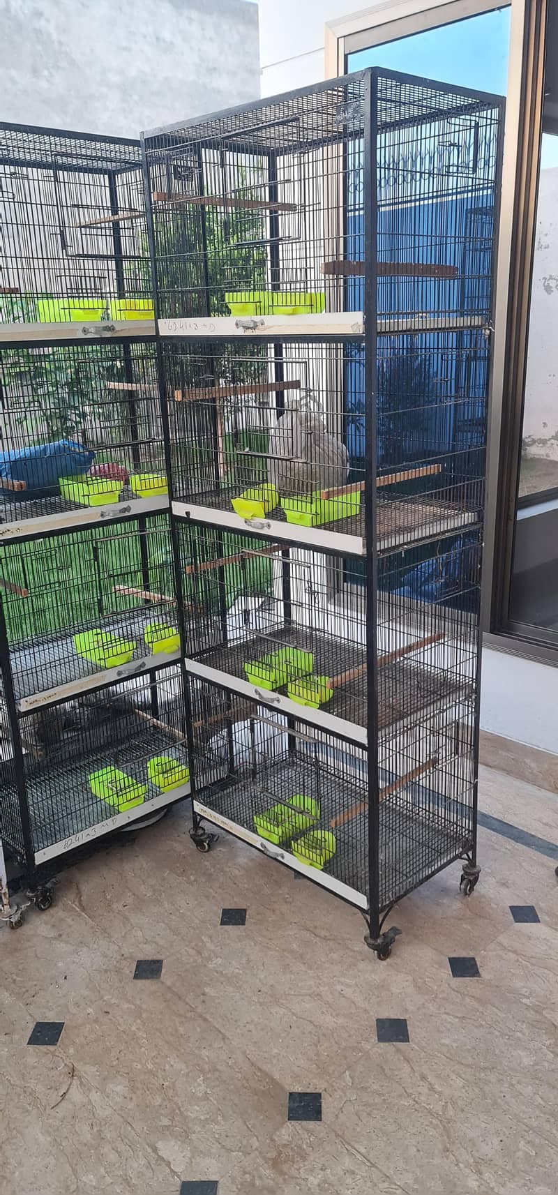 Bird Cage 1