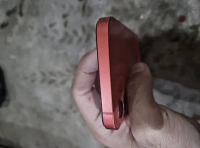 Iphone 12 pta approved