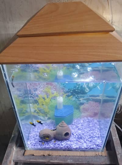 Aquarium for sale