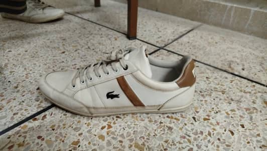 Lacoste chaymon leather sneakers
