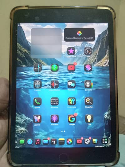 ipqd mini 5 condition 10/8