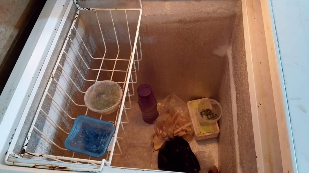deep freezer 2