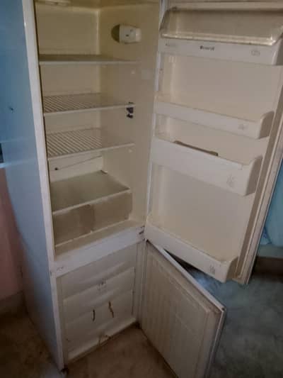 Italian Brand Used Fridge & Freezer