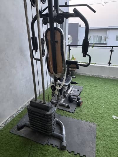 multi functional gym exerciser and 2 dumbbell also