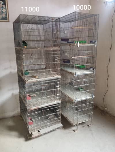  Iron Bird Cages for Sale – Folding & Heavy Duty Cag