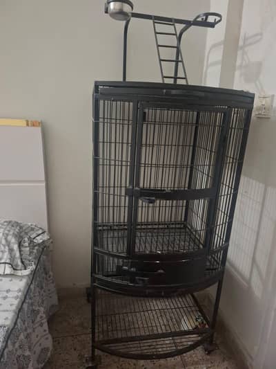 parrots cage available