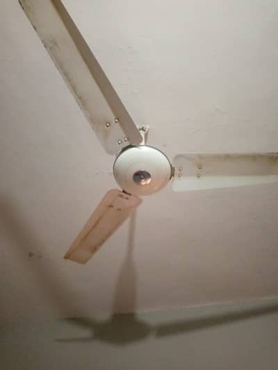 royal fan