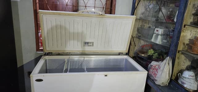 6 month used only