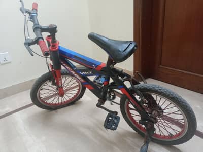 Chicago VIP Bicycle