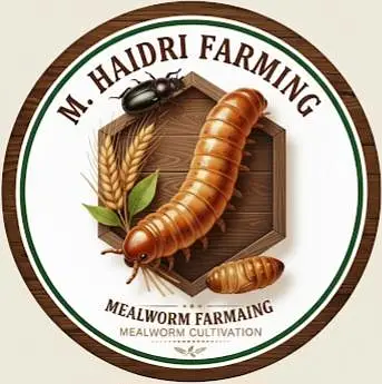 Fresh And Live Mealworms Available — photo 4