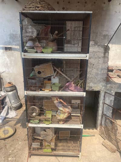bird cage for sale 24000 argent sale kami paishi ho jay gi 03464455981