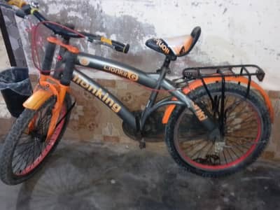 lion king cycle