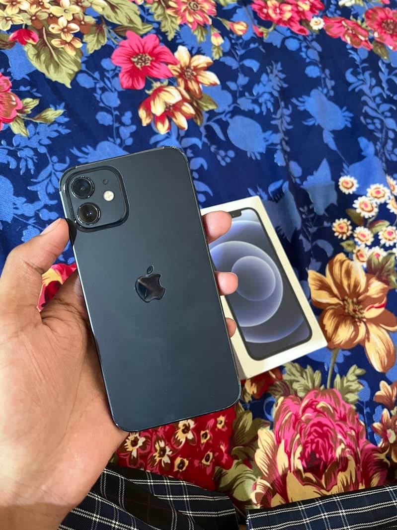 iPhone 12 1
