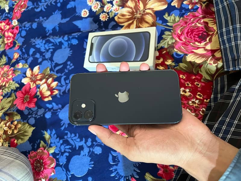 iPhone 12 3