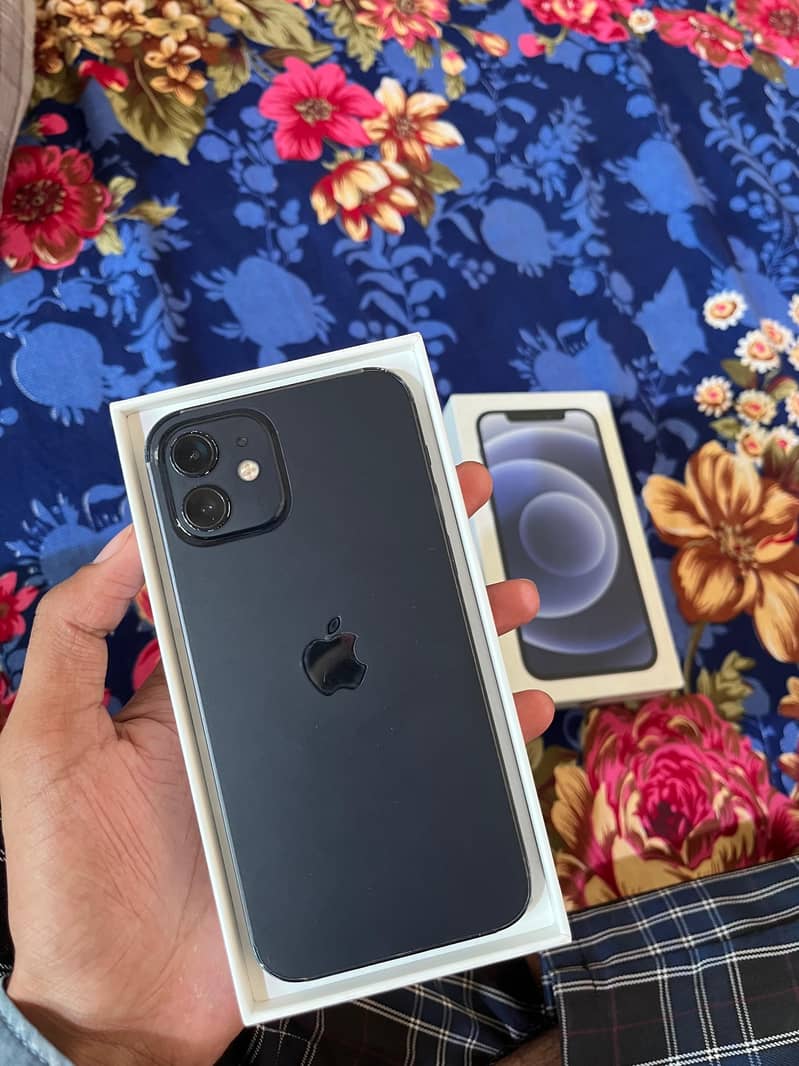 iPhone 12 6