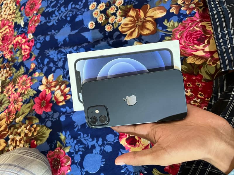 iPhone 12 7