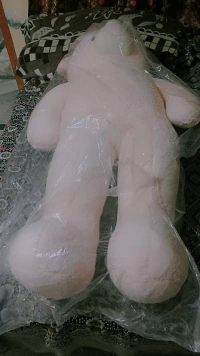 brand new bear
