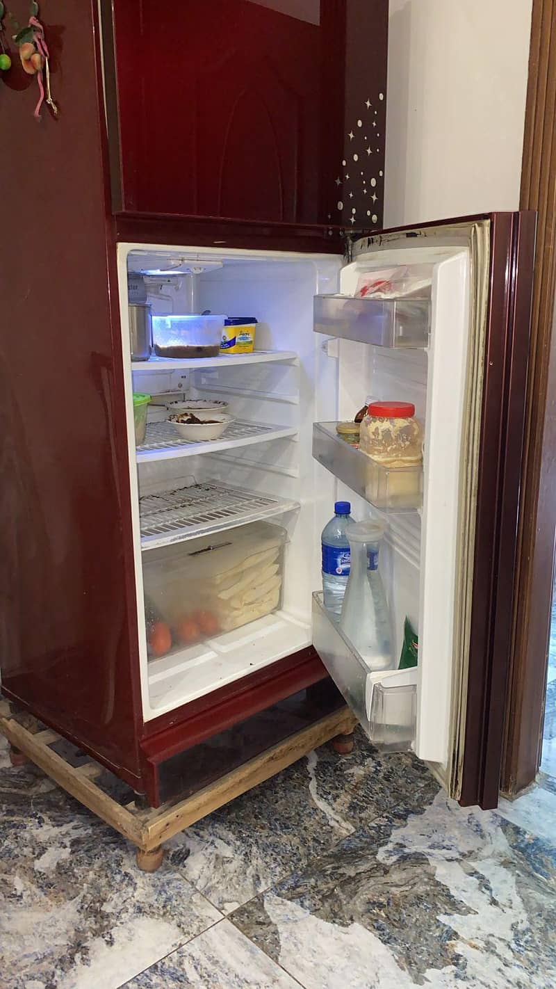 Pel fridge 3