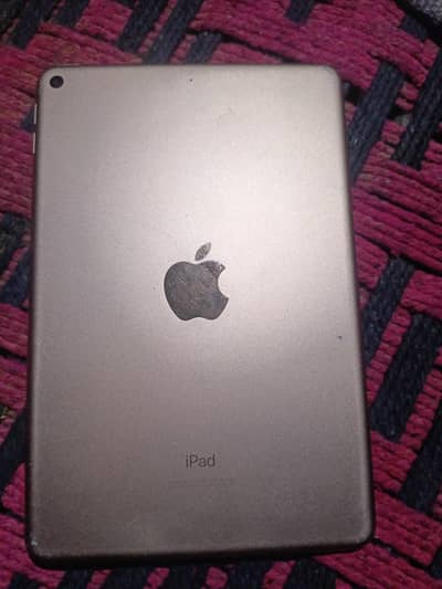 ipad mini 5 usad