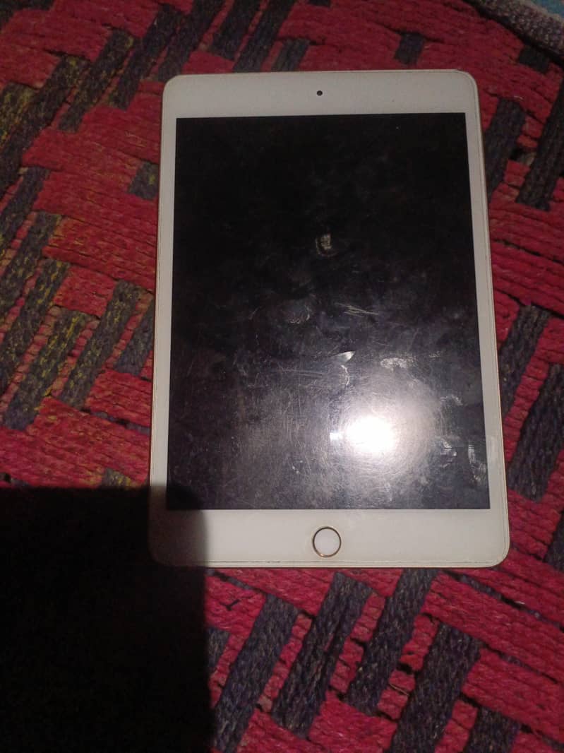 ipad mini 5 usad 1
